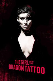 The Girl with the Dragon Tattoo: Characters – Salander, Blomkvist and Vanger 2012 one on netflix