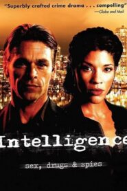Intelligence 2006 one on netflix