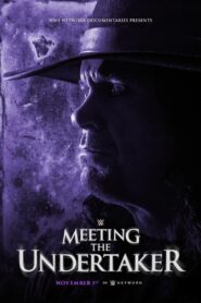 Meeting the Undertaker 2020 one on netflix