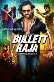 Bullett Raja 2013 one on netflix