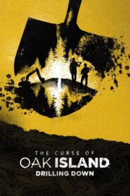 The Curse of Oak Island: Drilling Down 2015 one on netflix
