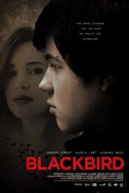 Blackbird 2012 one on netflix
