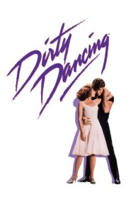 Dirty Dancing 1987 one on netflix