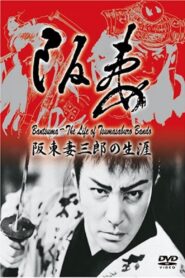 King of Swashbuckler: Life of Tsumasaburō Bandō 1988 one on netflix