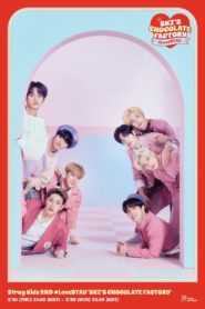 Stray Kids 2ND #LoveSTAY ‘SKZ’S CHOCOLATE FACTORY’ 2022 one on netflix