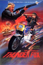 Ninja Knight Thunder Fox 1987 one on netflix