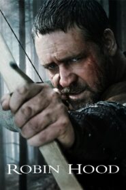 Robin Hood 2010 one on netflix