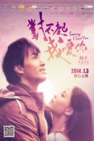 Sorry I Love You 2013 one on netflix