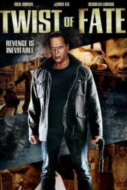 Twists of Fate 2012 one on netflix