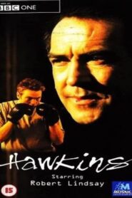 Hawkins 2001 one on netflix
