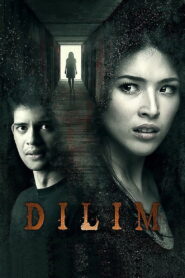 Dilim 2014 one on netflix