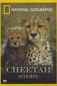 Cheetah Story 1999 one on netflix