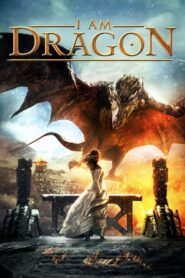 I Am Dragon 2015 one on netflix