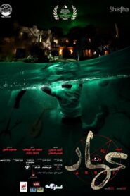 Ammar 2020 one on netflix