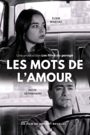 Les mots de l’amour 1994 one on netflix