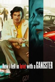 How I Fell in Love with a Gangster 2022 one on netflix