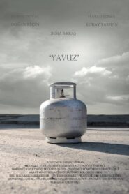 Yavuz 2012 one on netflix