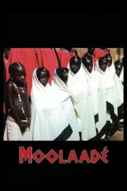 Moolaadé 2004 one on netflix