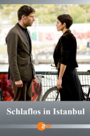 Schlaflos in Istanbul 2014 one on netflix