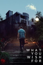 What You Wish For 2024 one on netflix