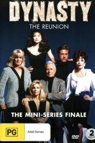 Dynasty: The Reunion 1991 one on netflix