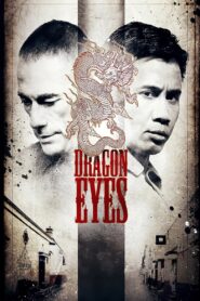 Dragon Eyes 2012 one on netflix
