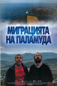 Migration of the Belted Bonito 2011 one on netflix