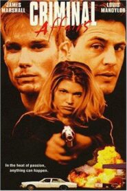 Criminal Affairs 1998 one on netflix