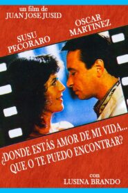 ¿Dónde estás amor de mi vida… que no te puedo encontrar? 1992 one on netflix