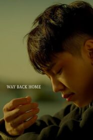 Way Back Home 2015 one on netflix