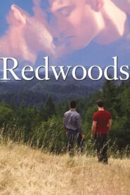 Redwoods 2009 one on netflix