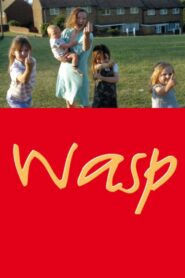Wasp 2003 one on netflix