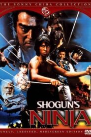 Shogun’s Ninja 1980 one on netflix