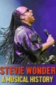 Stevie Wonder: A Musical History 2018 one on netflix