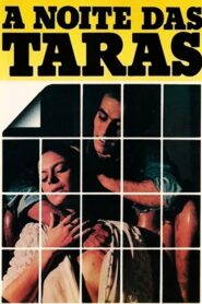 The Night at the Terrace 1980 one on netflix