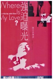 Where Is My Love? 1996 one on netflix