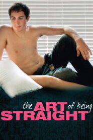 The Art of Being Straight 2009 one on netflix