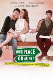 Your Place or Mine? 2015 one on netflix