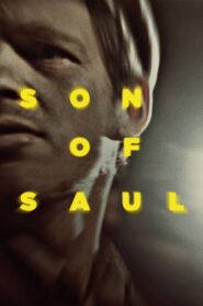 Son of Saul 2015 one on netflix
