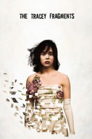 The Tracey Fragments 2007 one on netflix