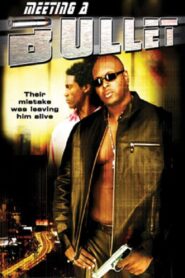 Meeting a Bullet 2004 one on netflix