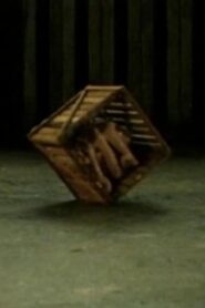 (ab)NORMAL 1995 one on netflix