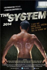 The System 2014 one on netflix