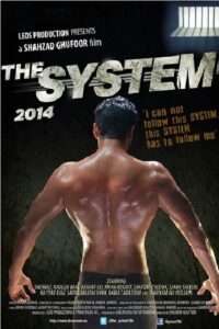 The System 2014 one on netflix