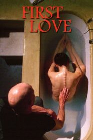 First Love 2004 one on netflix