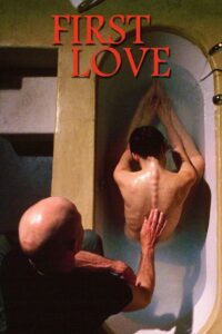 First Love 2004 one on netflix