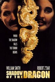 Shadow of the Dragon 1992 one on netflix