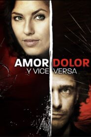Love, Pain and Vice Versa 2008 one on netflix