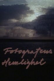 Fotografens hemlighet 1993 one on netflix