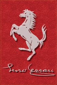 Ferrari 2003 one on netflix